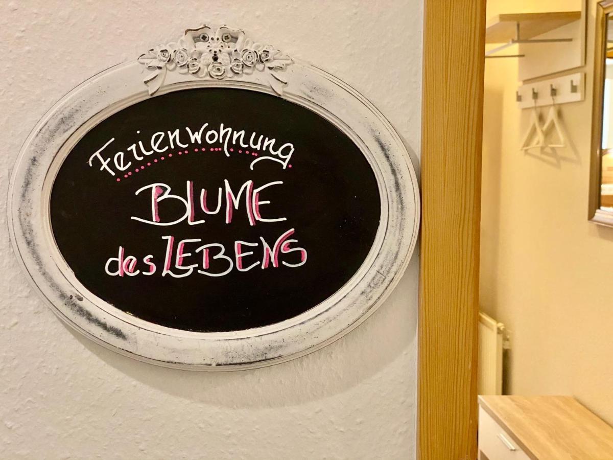 Apartmán Gesundheitshof Denker Reußenköge Exteriér fotografie