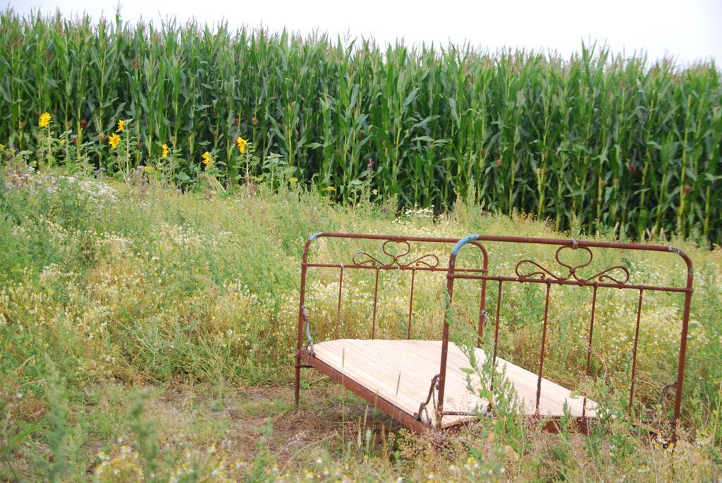 Apartmán Gesundheitshof Denker Reußenköge Exteriér fotografie