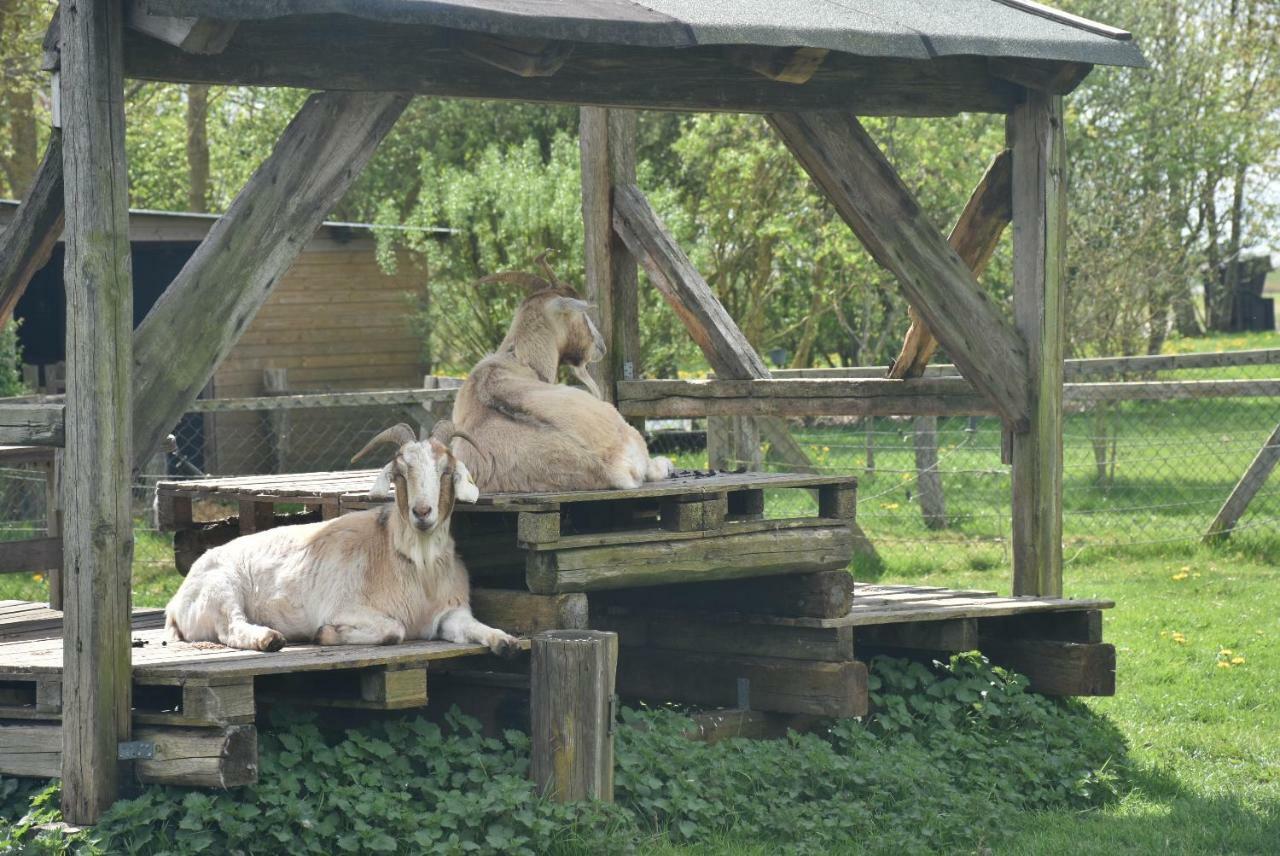 Apartmán Gesundheitshof Denker Reußenköge Exteriér fotografie
